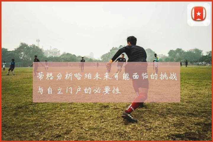 蒂格分析哈珀未来可能面临的挑战与自立门户的必要性